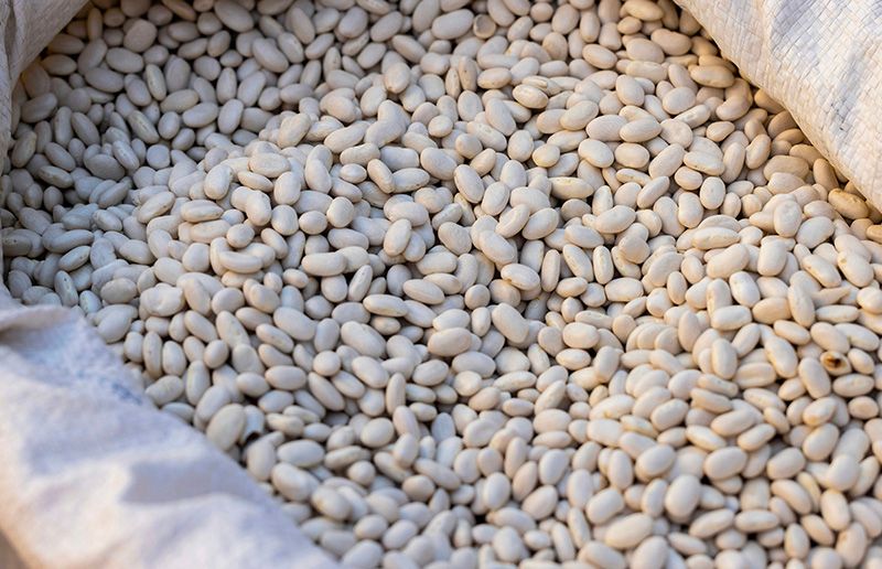 Sac rempli de haricots